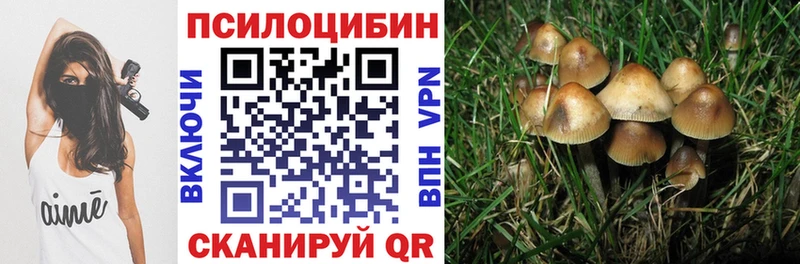 нарко площадка какой сайт  Волгореченск  Псилоцибиновые грибы Psilocybine cubensis 